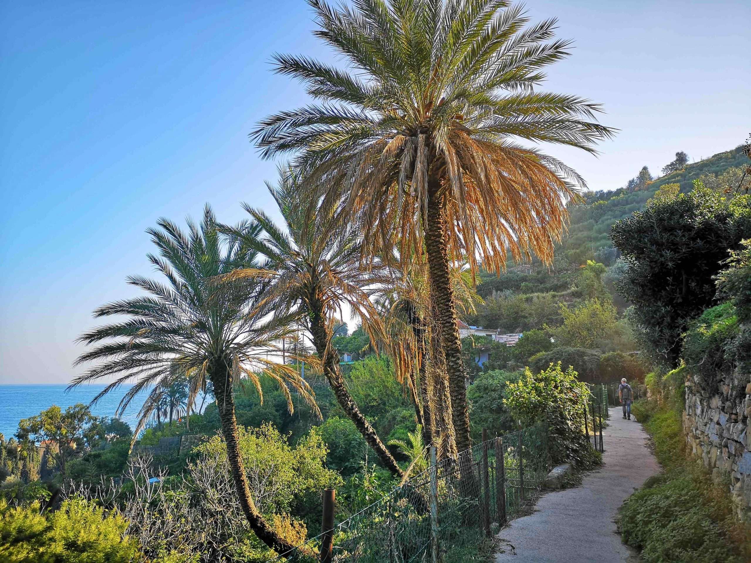 beodo-bordighera